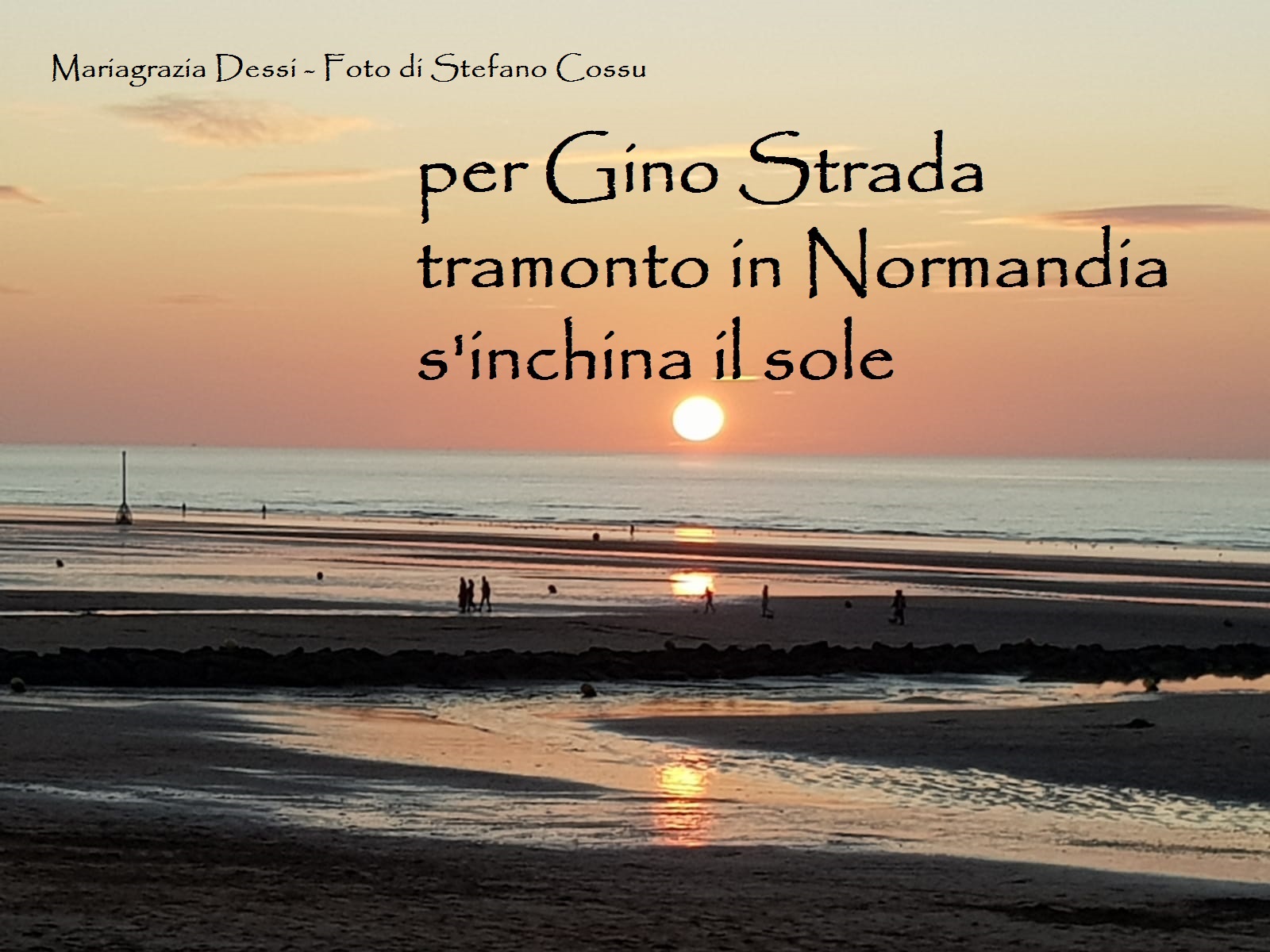 Dessi-per Gino Strada